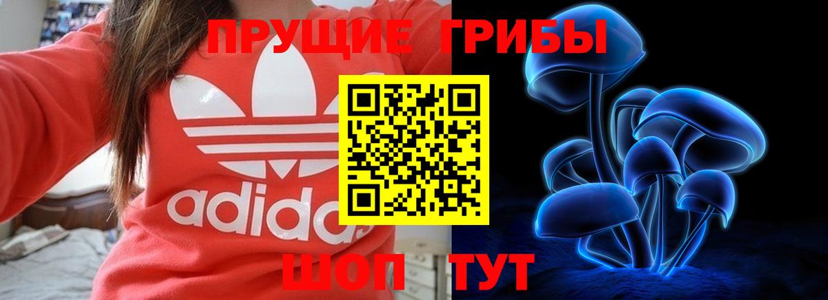 Галлюциногенные грибы Magic Shrooms Камышлов