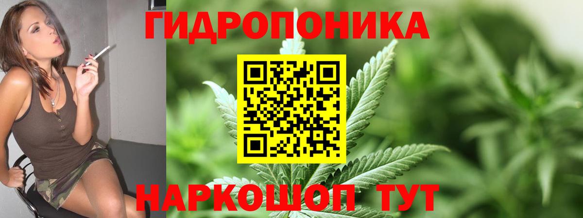Конопля индика  Бошки Шишки MAZAR  Вход с VPN  Камышлов  Бошки марихуана конопля 